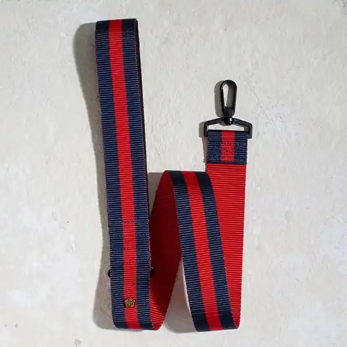 The Padded City Leash